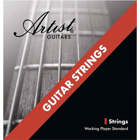 Artist ACST1152 Acoustic Guitar Steel Strings Custom Light 11-52